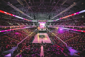 集锦