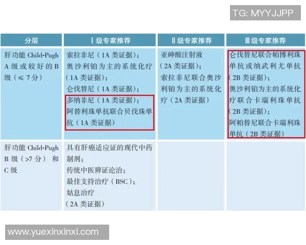 购买足球明星签名卡的详细指南与注意事项分享