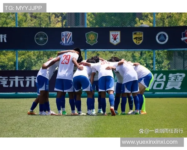 网红们如何看待足球明星集锦背后的故事与精彩瞬间